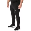 ASICS SILBERNE TIGHTS