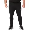 ASICS SILBERNE TIGHTS