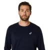 ASICS SILBERNES LANGARM-OBERTEIL