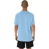 BLÜHENDES FUJI-T-SHIRT BLÜHENDES FUJI-T-SHIRT