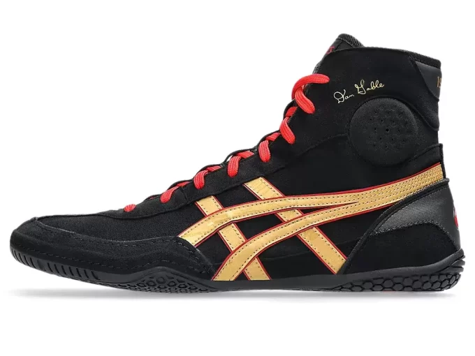 DAN GABLE EVO 3