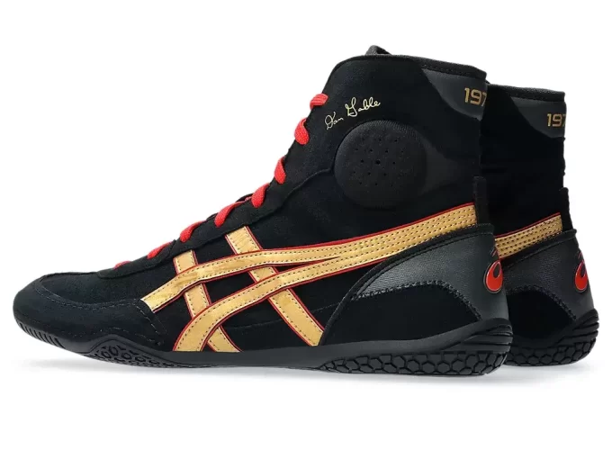 DAN GABLE EVO 3