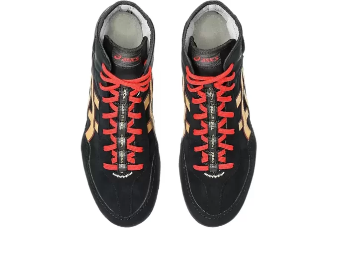 DAN GABLE EVO 3