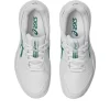 GEL-RESOLUTION X GRADE SCHOOL